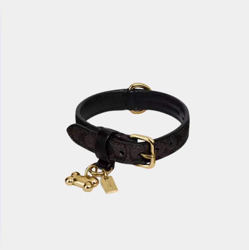 C Dog Collar